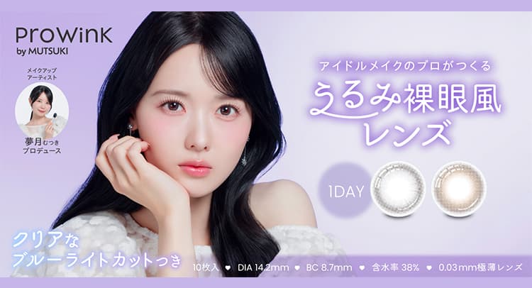 プロウィンク (ProWink) 10枚入 