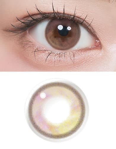 ルミュー (Lemieu) 10枚入グラスローズ