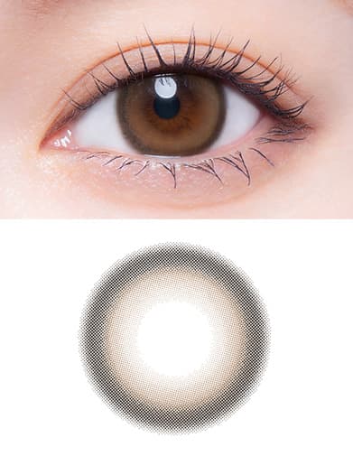 メロット(melotte)10枚入ディアレター
