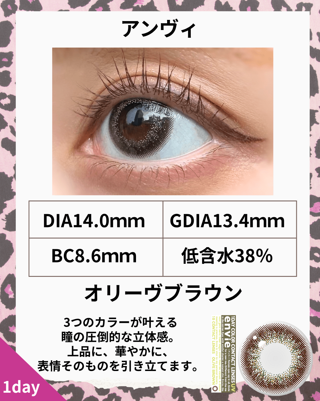 アンヴィオリーヴブラウン