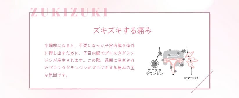 エルペインコーワ 12錠 興和【指定第2類医薬品】 生理痛専用薬 