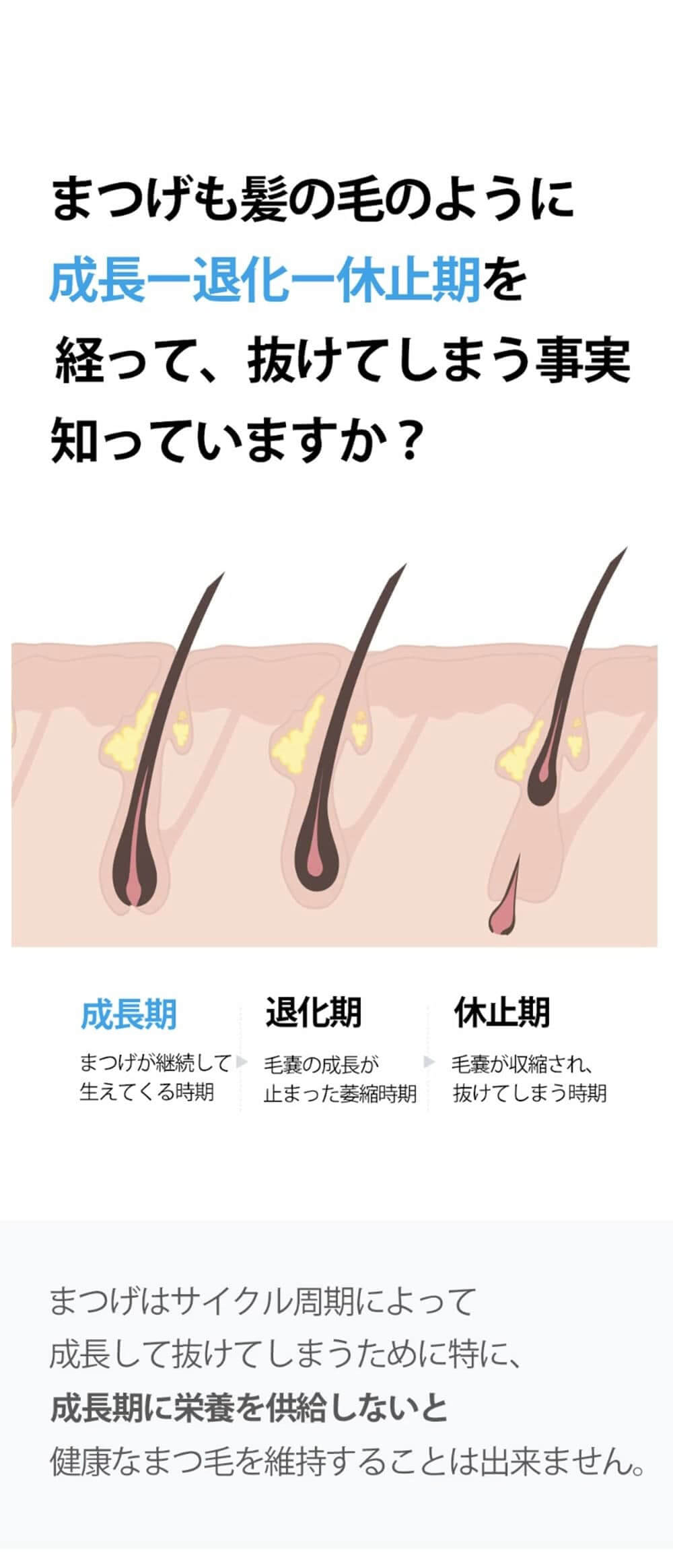  【COSNORI(コスノリ)】ロングアクティブアイラッシュセラムは韓国オリーブヤング1位のまつ毛美容液