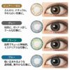 フレッシュルックワンデーカラー 10枚入 