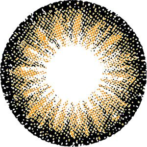 ポピーブラウン-レンズ画像