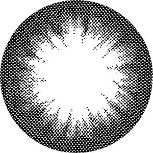 ロータスブラック-レンズ画像