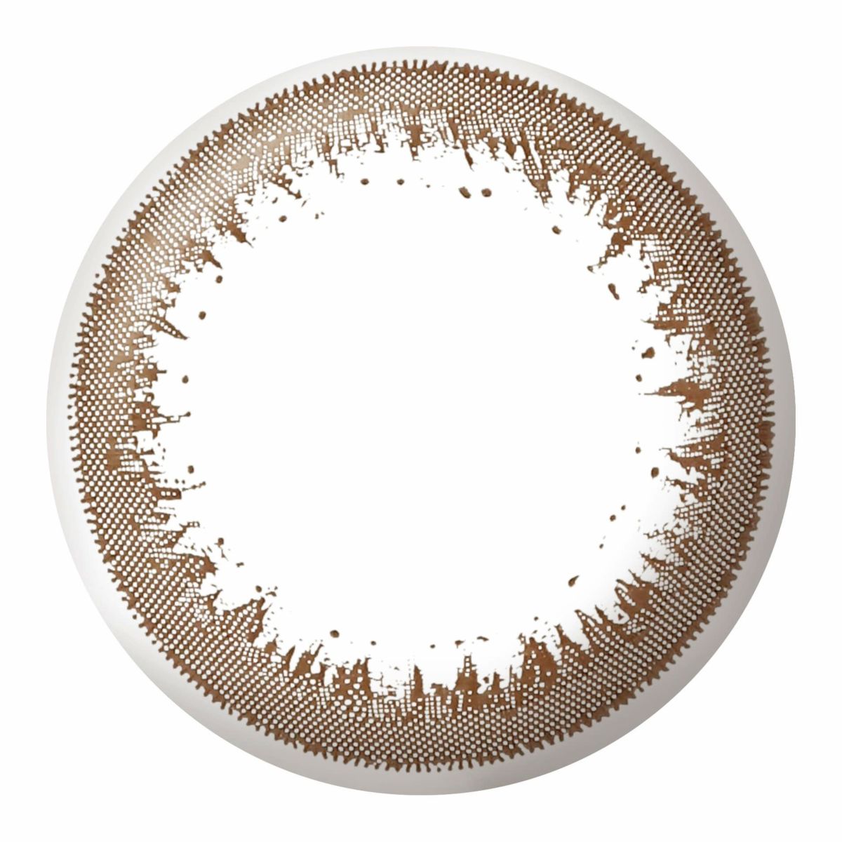 シェールブラウン-レンズ画像