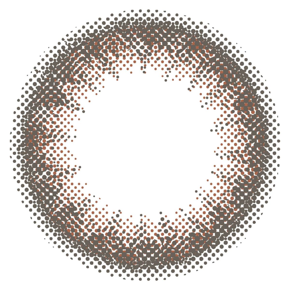 マルーンブラック-レンズ画像