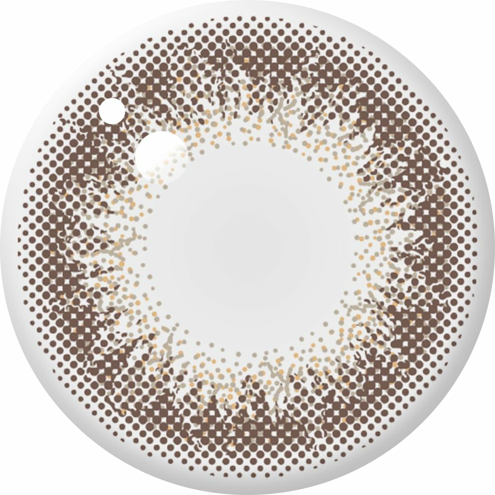 シャンパングレイ-レンズ画像