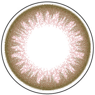 Venus-レンズ画像