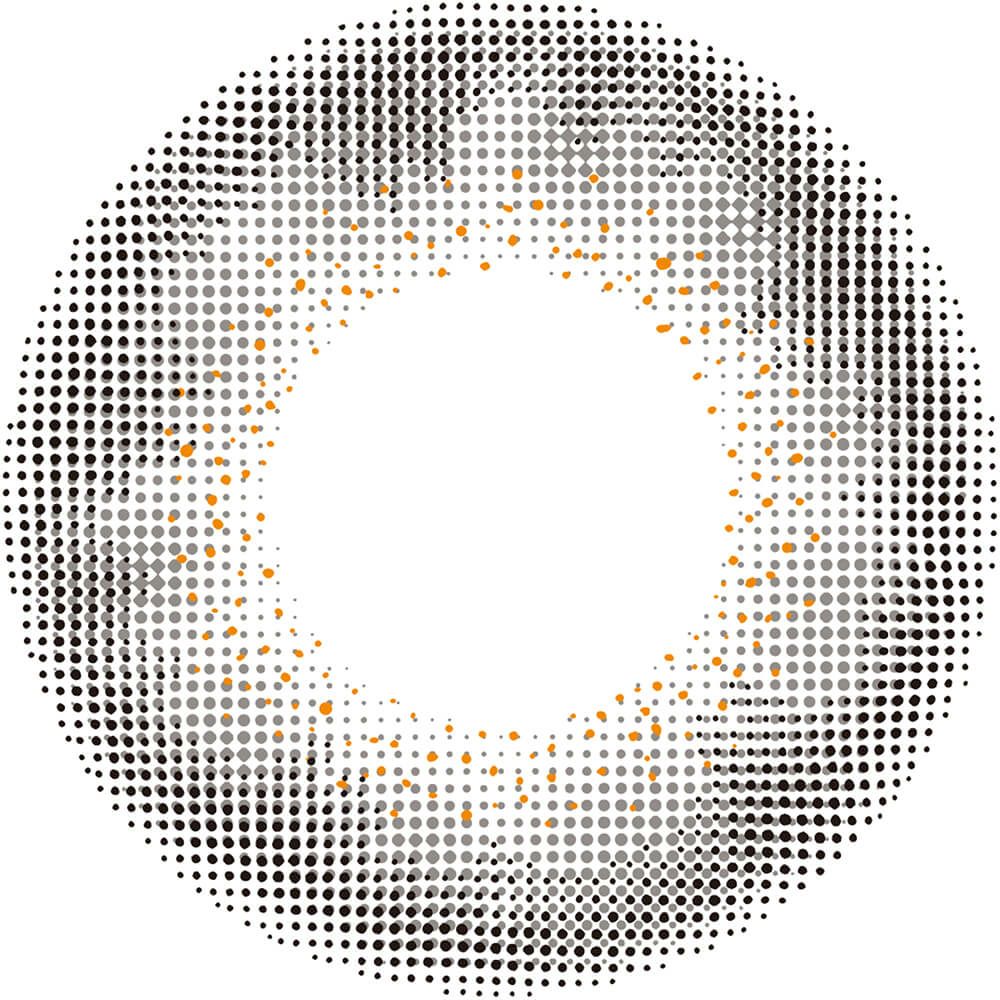 ラスティグレー-レンズ画像