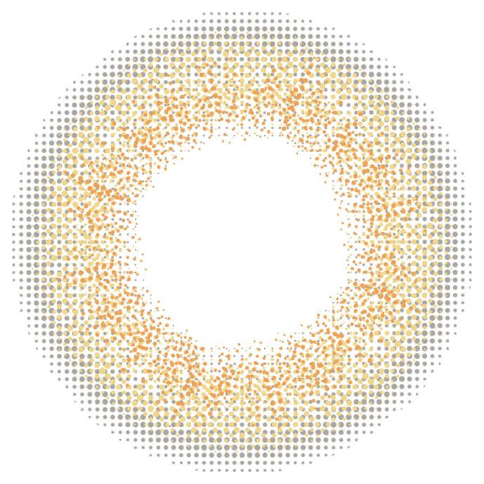 スキニーヘーゼル-レンズ画像