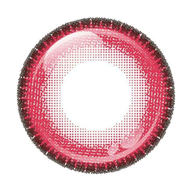 ローズヒップ-レンズ画像