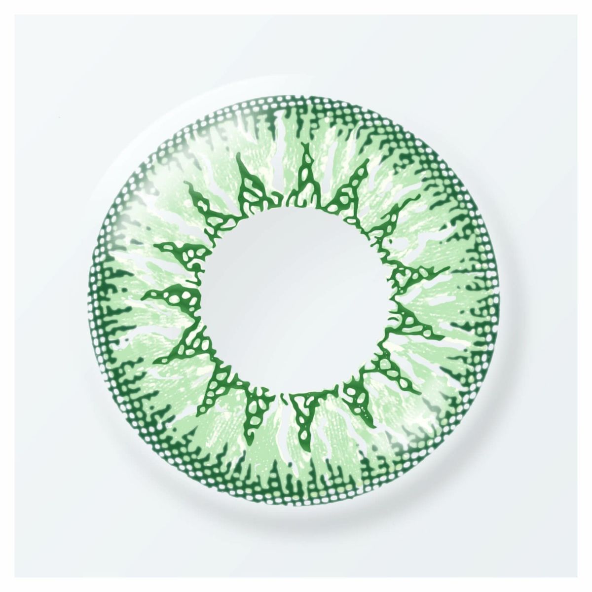 抹茶（マッチャ）-レンズ画像