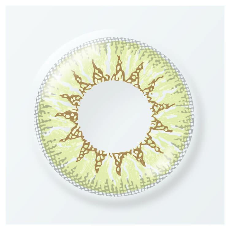 キウイソルベ-レンズ画像