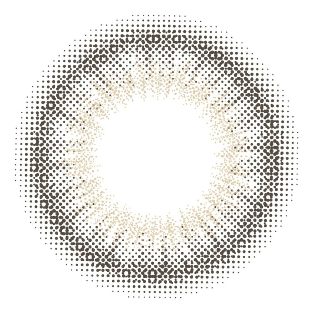 スムースグレー-レンズ画像