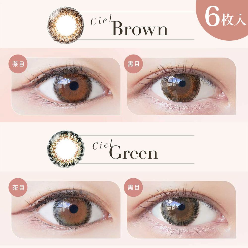 ネオサイト2weekシエル UV 6枚入商品一覧