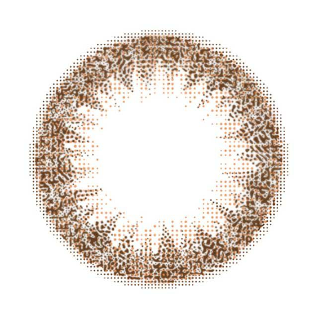 デイリーブラウン-レンズ画像