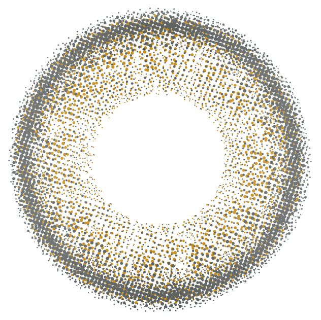 ジョイブラウン-レンズ画像