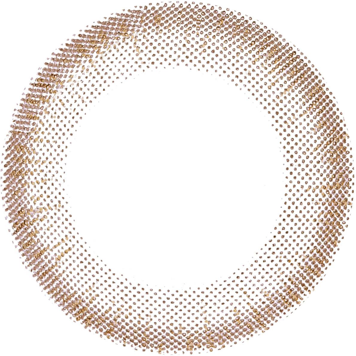 ブラウン-レンズ画像