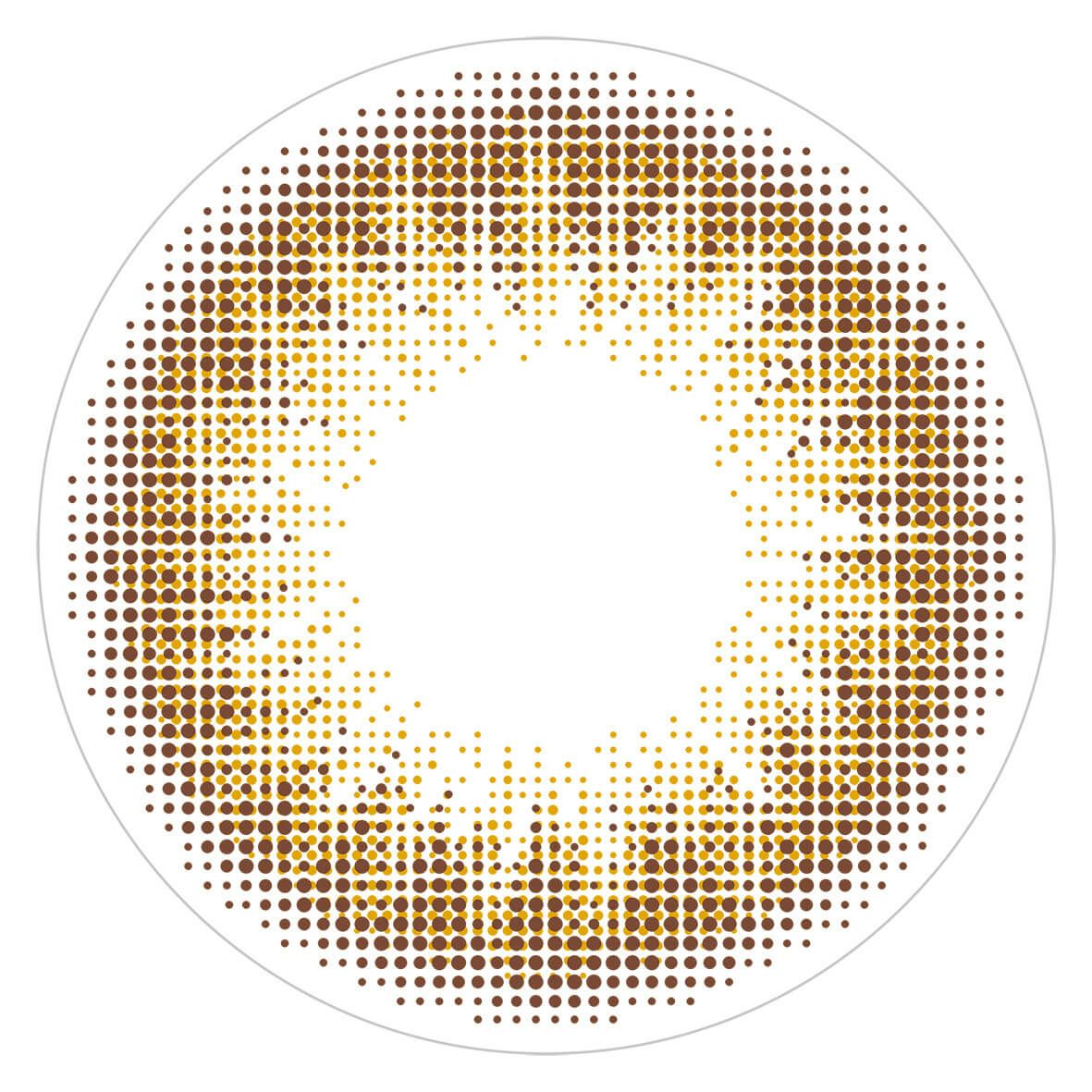 イデアル-レンズ画像