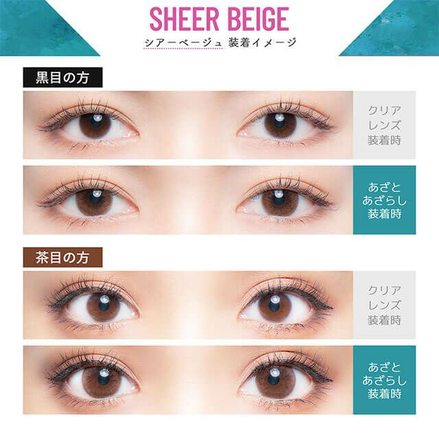 あざとあざらし-イメージ画像2