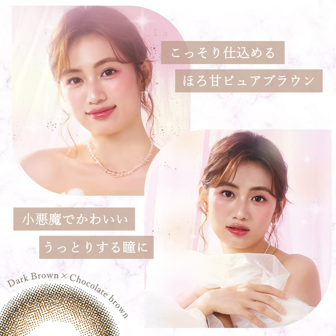 チョコレートコスモス-イメージ画像