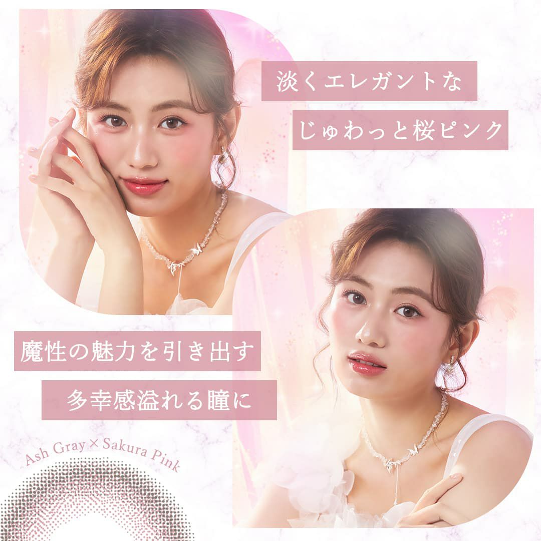 チェリーブロッサム-イメージ画像