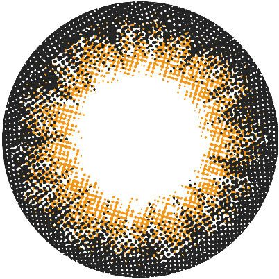 No6ブラウン-レンズ画像