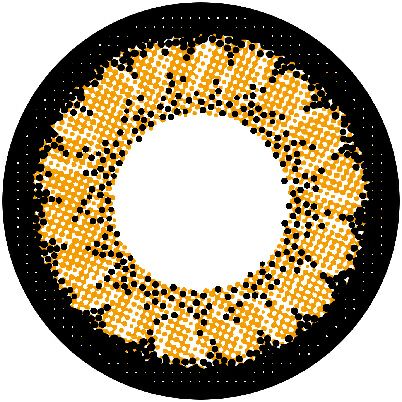 No9ブラウン-レンズ画像