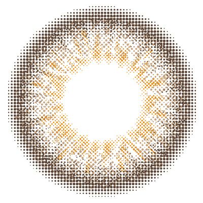 ジンジャー-レンズ画像