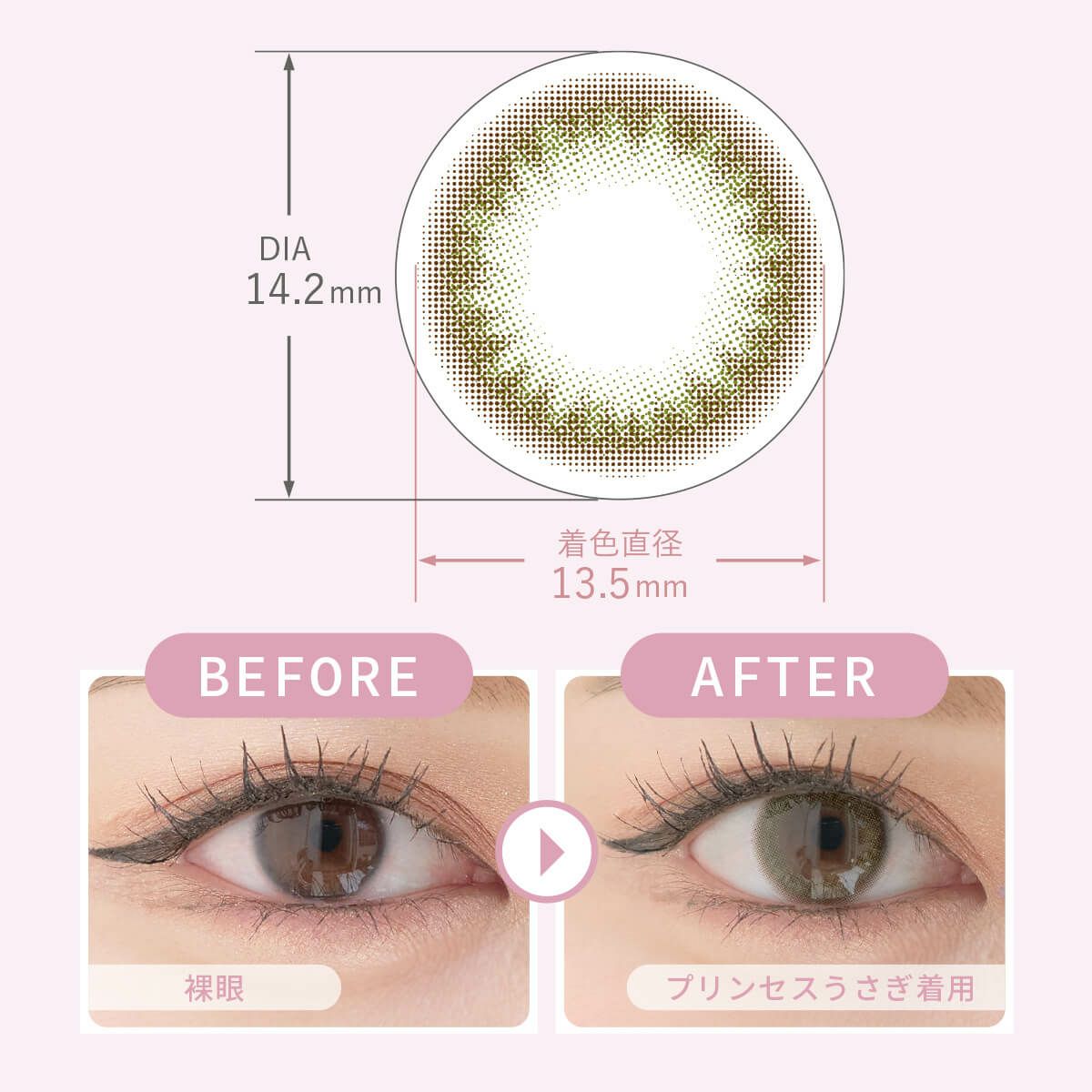 プリンセスうさぎ-カラー詳細