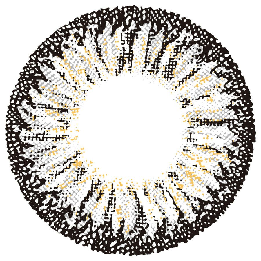 スパイシーグレー-レンズ画像