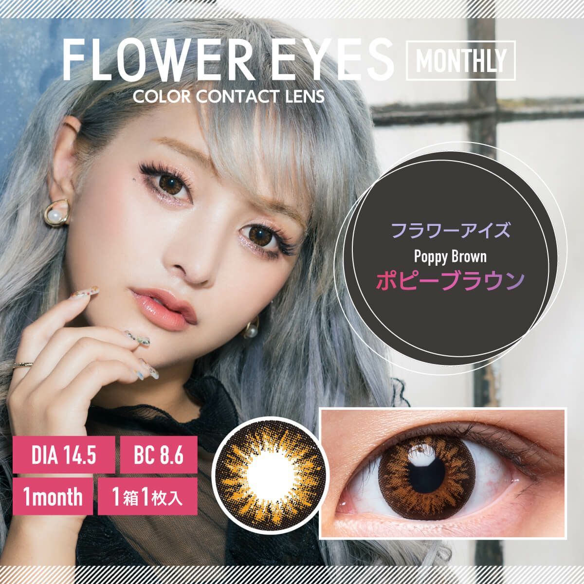 ポピーブラウン-イメージ画像