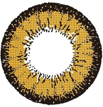 ローズブラウン-レンズ画像