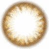 シェルサンドブラウン-レンズ画像