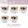  【シェルシリーズ】FLANMY(フランミー) 30枚入 