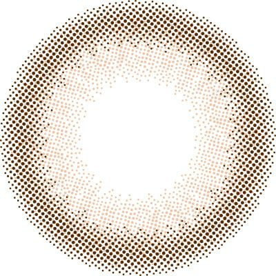 トリュフ-レンズ画像