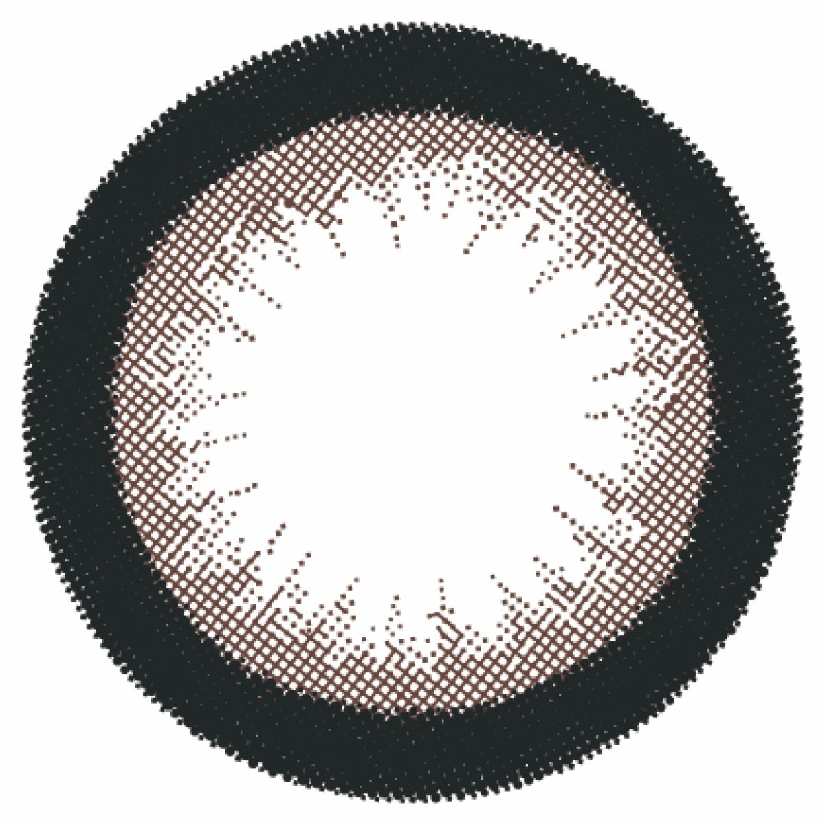 アーモンド-レンズ画像