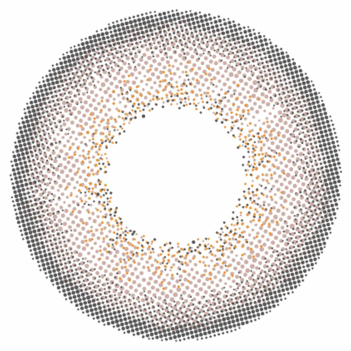 パールグレー-レンズ画像