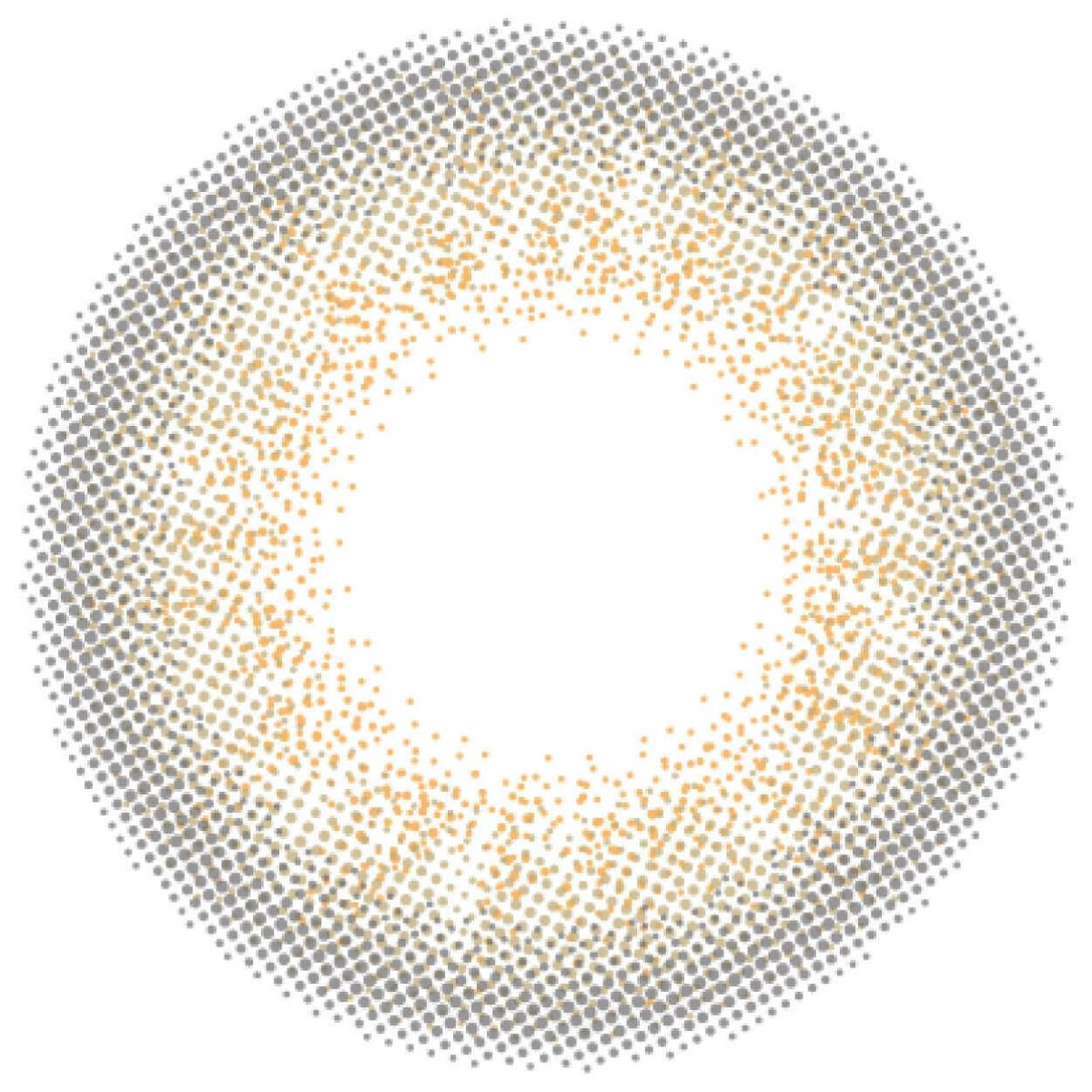 ラスターグレー-レンズ画像