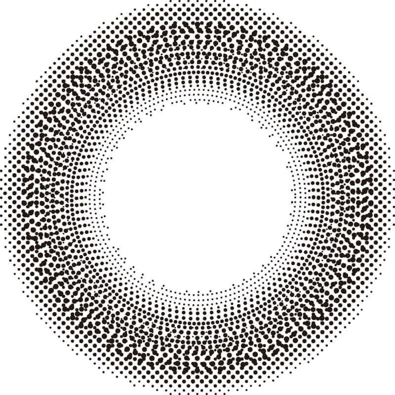 ナチュラルブラック-レンズ画像