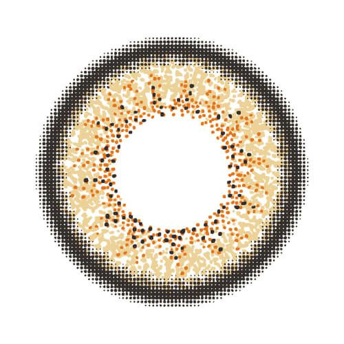 アッシュブラウン-レンズ画像