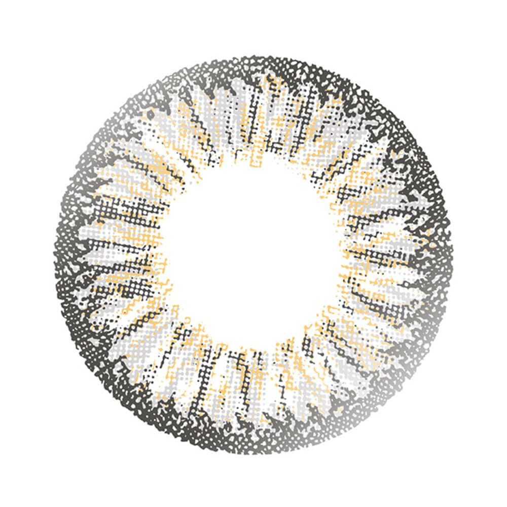 スパイシーグレー-レンズ画像