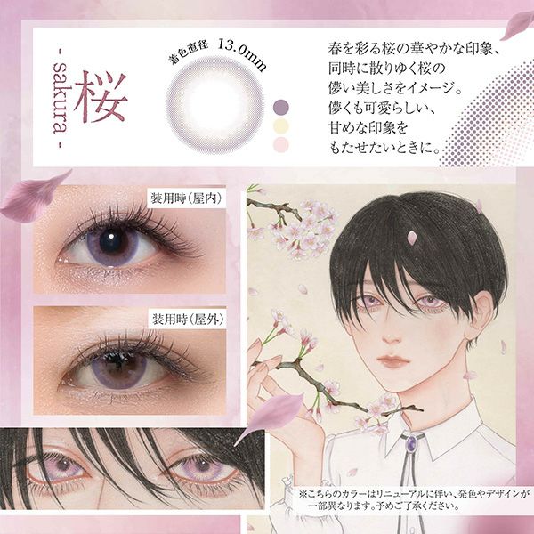 サクラ-イメージ画像-美少年画 Bishonenga(ビショウネンガ)2枚入-マンスリーカラコン-1ヵ月カラコン