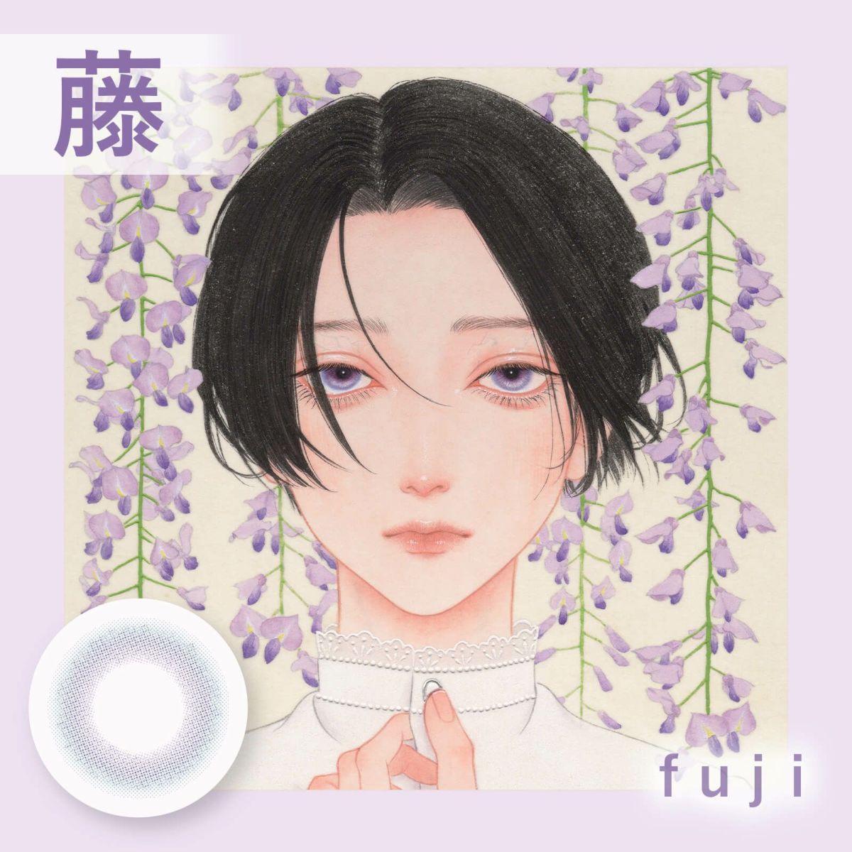 フジ-イメージ画像