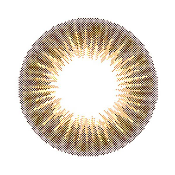 ロワールブラウン-レンズ画像