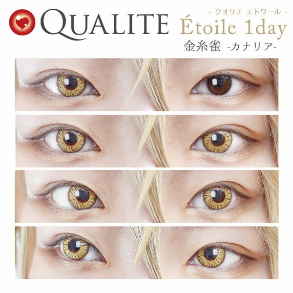 金糸雀-kanaria--イメージ画像