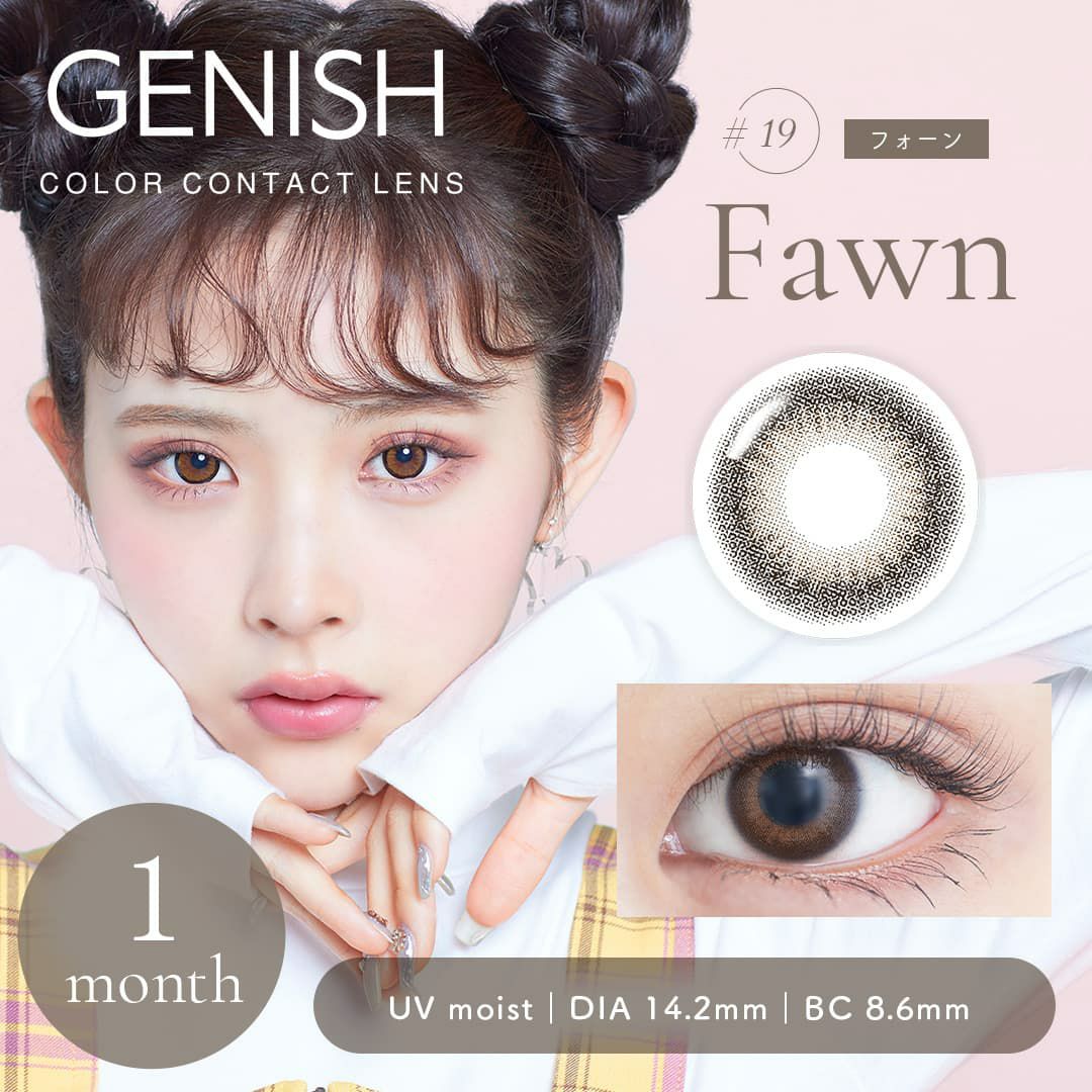 フォーン-イメージ画像