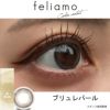 ブリュレパール-スタッフ装用画像