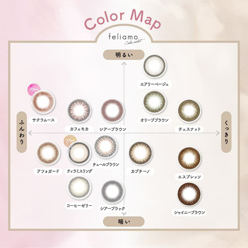  feliamo (フェリアモ) ワンデー10枚入（カフェモカ） 
